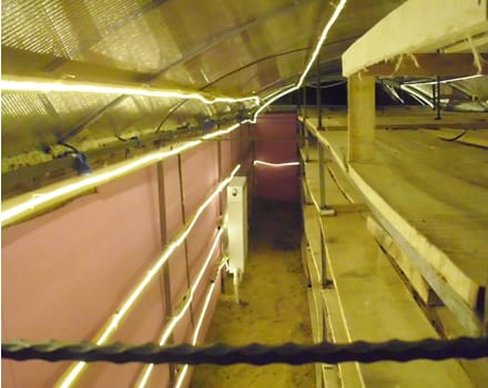 gün ışıklı sera 25yıl önce https://www.sali-sifa.com